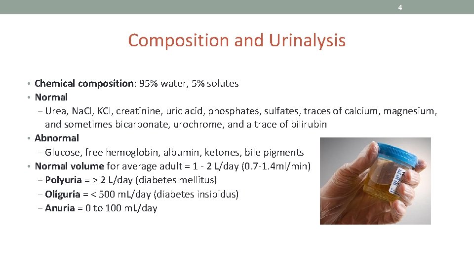 4 Composition and Urinalysis • Chemical composition: 95% water, 5% solutes • Normal ‒