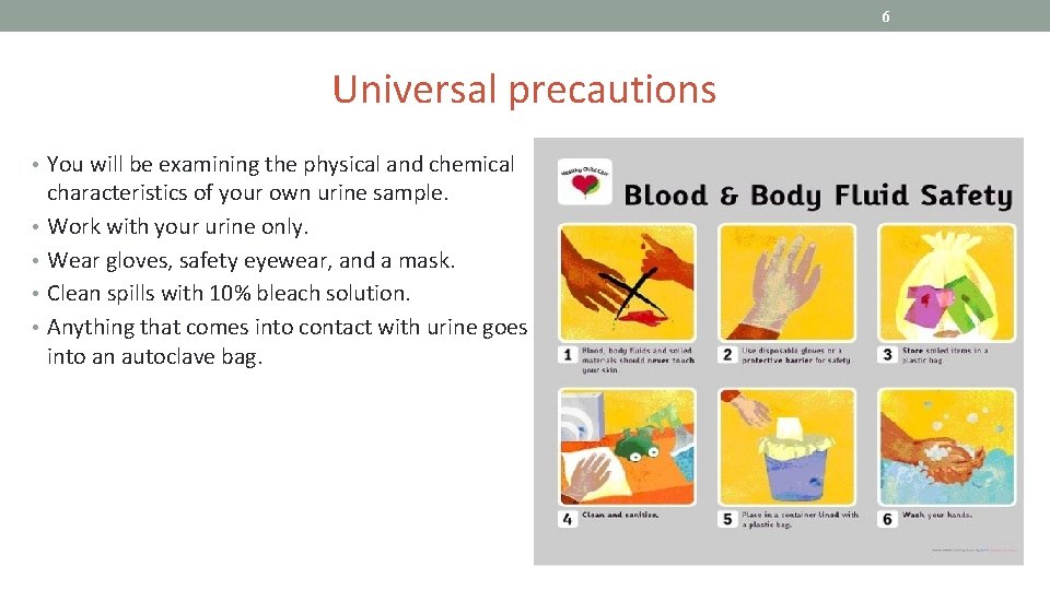6 Universal precautions • You will be examining the physical and chemical • •