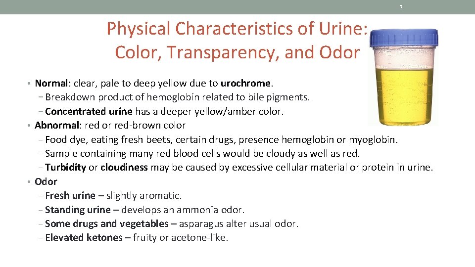 7 Physical Characteristics of Urine: Color, Transparency, and Odor • Normal: clear, pale to