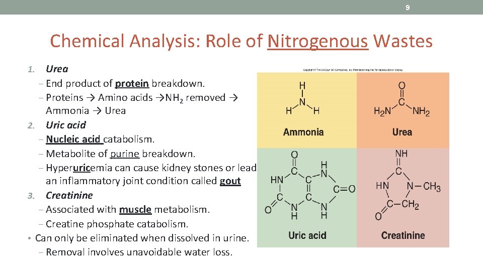 9 Chemical Analysis: Role of Nitrogenous Wastes Urea ‒ End product of protein breakdown.