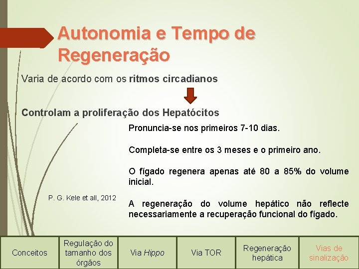 Autonomia e Tempo de Regeneração Varia de acordo com os ritmos circadianos Controlam a