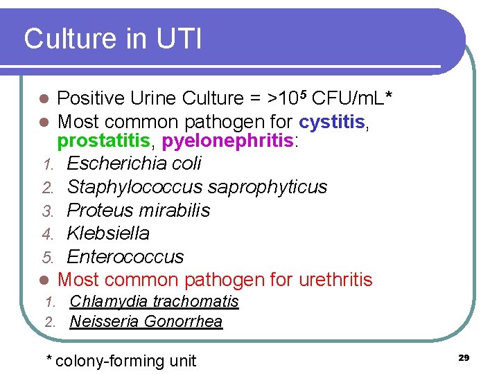 Culture in UTI Positive Urine Culture = >105 CFU/m. L* Most common pathogen for