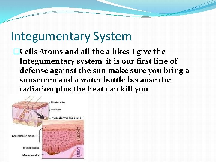 Integumentary System �Cells Atoms and all the a likes I give the Integumentary system