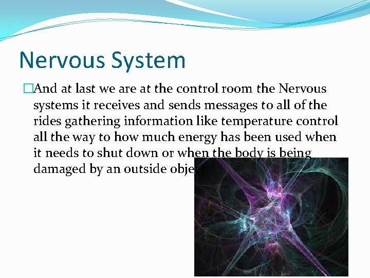 Nervous System �And at last we are at the control room the Nervous systems