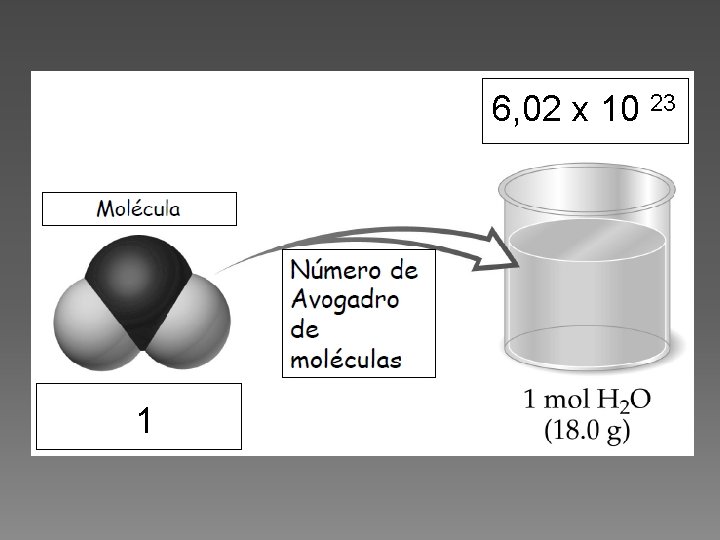 6, 02 x 10 23 1 