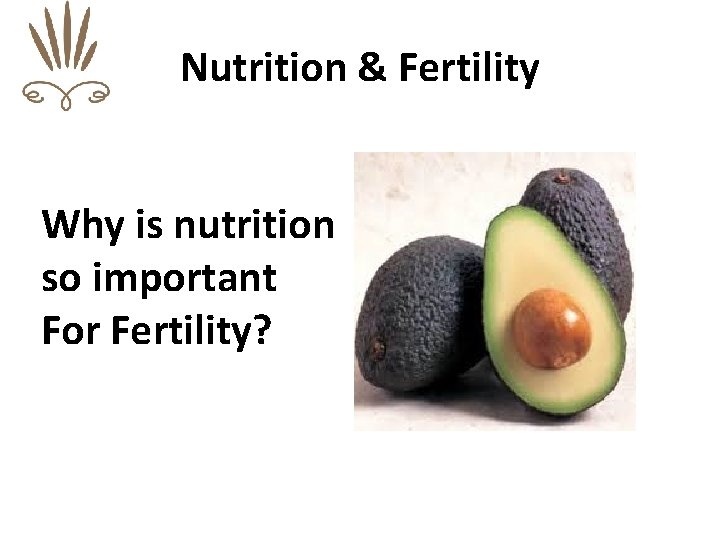 Nutrition & Fertility Why is nutrition so important For Fertility? 