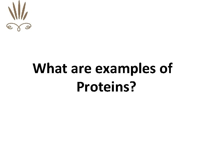 What are examples of Proteins? 