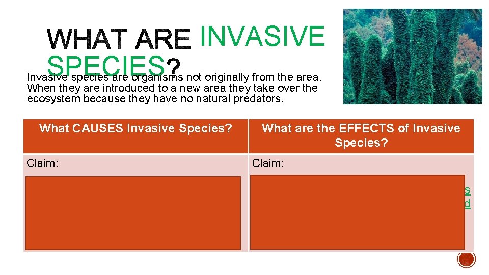SPECIES INVASIVE Invasive species are organisms not originally from the area. When they are