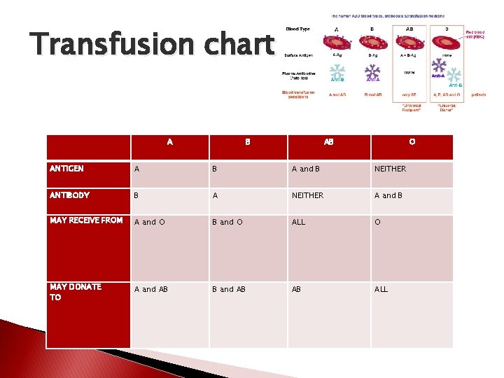 Transfusion chart A B AB O ANTIGEN A B A and B NEITHER ANTIBODY