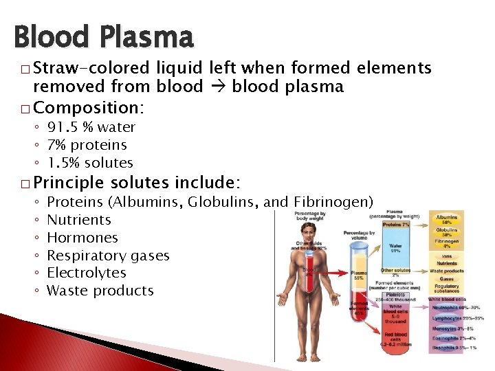 CHAPTER 14 THE CARDIOVASCULAR SYSTEM BLOOD OBJECTIVES List