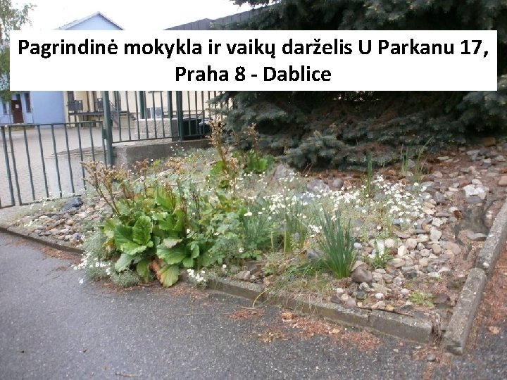 Pagrindinė mokykla ir vaikų darželis U Parkanu 17, Praha 8 - Dablice 