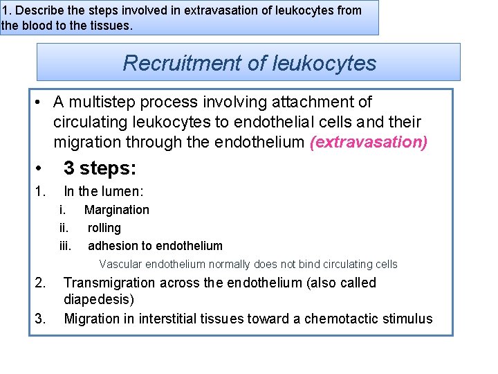 1. Describe the steps involved in extravasation of leukocytes from the blood to the