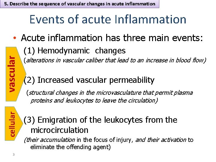 5. Describe the sequence of vascular changes in acute inflammation Events of acute Inflammation