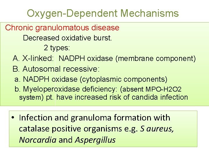 Oxygen-Dependent Mechanisms Chronic granulomatous disease Decreased oxidative burst. 2 types: A. X-linked: NADPH oxidase