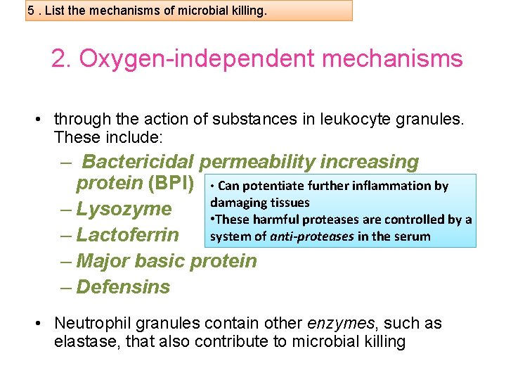 5. List the mechanisms of microbial killing. 2. Oxygen-independent mechanisms • through the action
