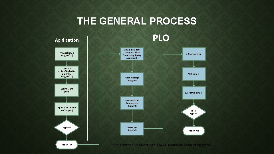 THE GENERAL PROCESS PLO Application Pre Application (Prop/FO/SO) Develop Petition/Application and MOU (Prop/FO/SO) NEPA