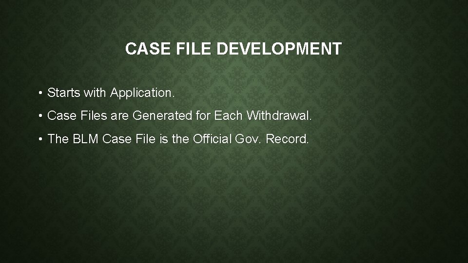 CASE FILE DEVELOPMENT • Starts with Application. • Case Files are Generated for Each