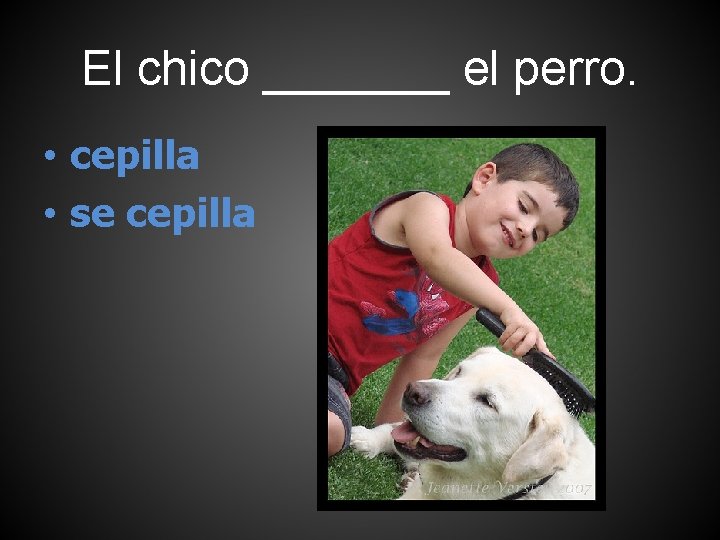 El chico _______ el perro. • cepilla • se cepilla 