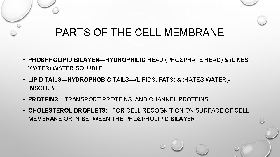 PARTS OF THE CELL MEMBRANE • PHOSPHOLIPID BILAYER—HYDROPHILIC HEAD (PHOSPHATE HEAD) & (LIKES WATER)