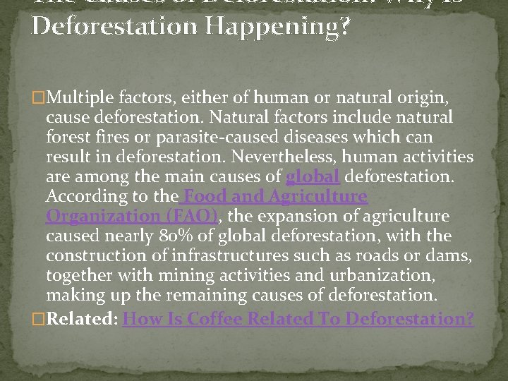 The Causes of Deforestation: Why Is Deforestation Happening? �Multiple factors, either of human or