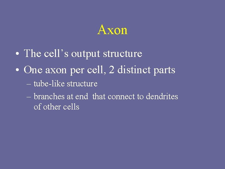 Axon • The cell’s output structure • One axon per cell, 2 distinct parts