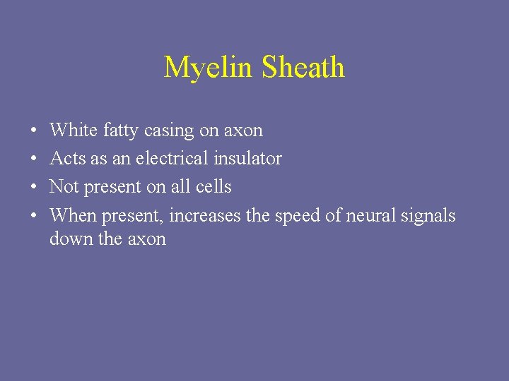 Myelin Sheath • • White fatty casing on axon Acts as an electrical insulator