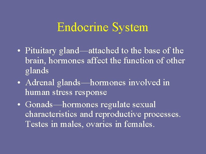Endocrine System • Pituitary gland—attached to the base of the brain, hormones affect the