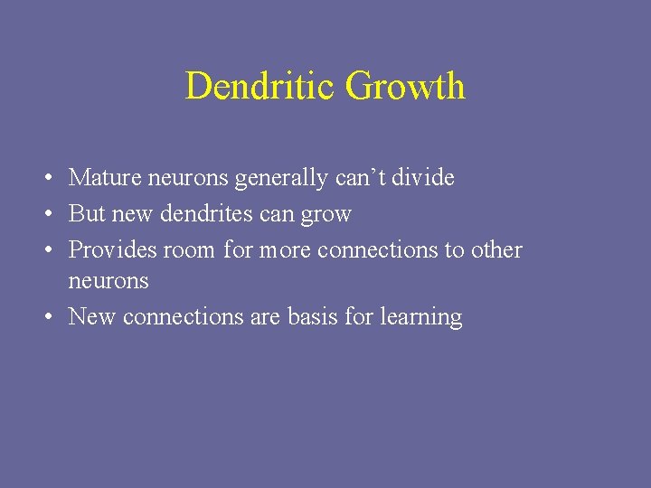 Dendritic Growth • Mature neurons generally can’t divide • But new dendrites can grow