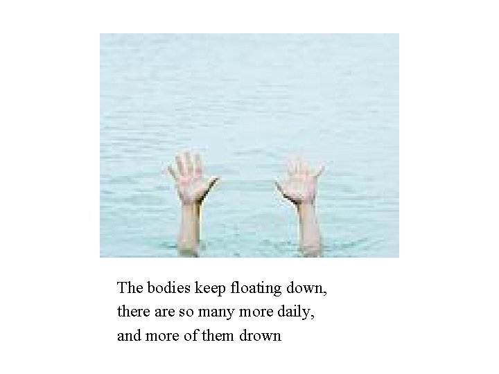 The bodies keep floating down, there are so many more daily, and more of