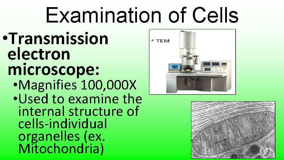 Examination of Cells • Transmission electron microscope: • Magnifies 100, 000 X • Used