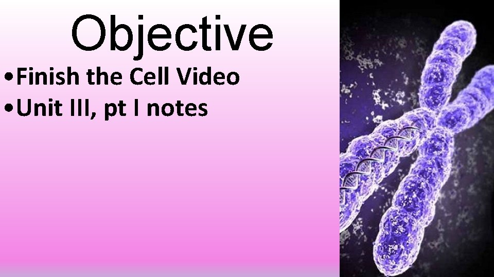 Objective • Finish the Cell Video • Unit III, pt I notes 