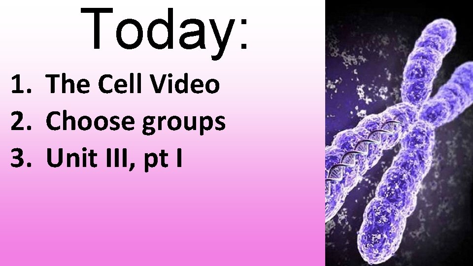 Today: 1. The Cell Video 2. Choose groups 3. Unit III, pt I 