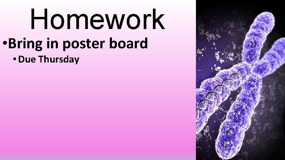Homework • Bring in poster board • Due Thursday 