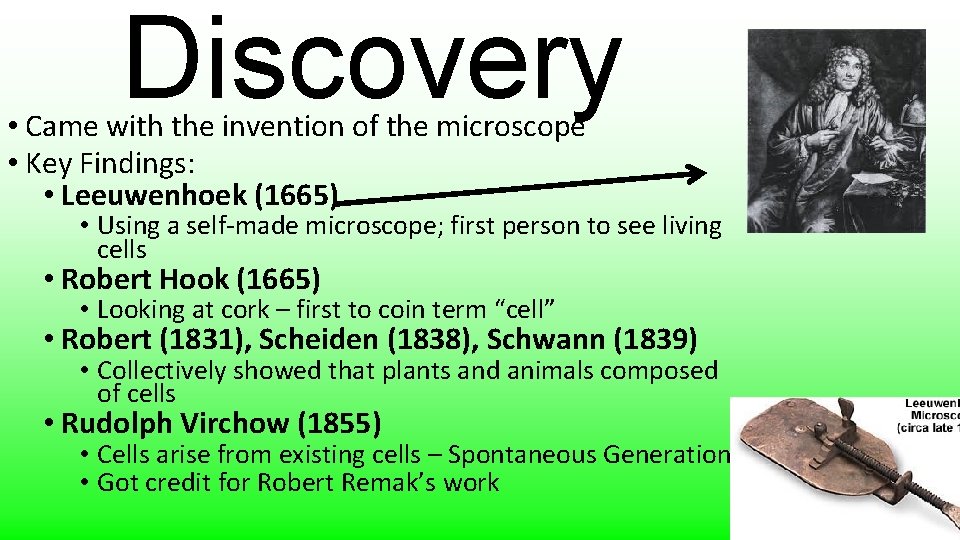 Discovery • Came with the invention of the microscope • Key Findings: • Leeuwenhoek