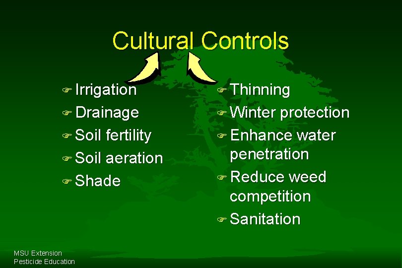 Cultural Controls F Irrigation F Thinning F Drainage F Winter F Soil fertility F