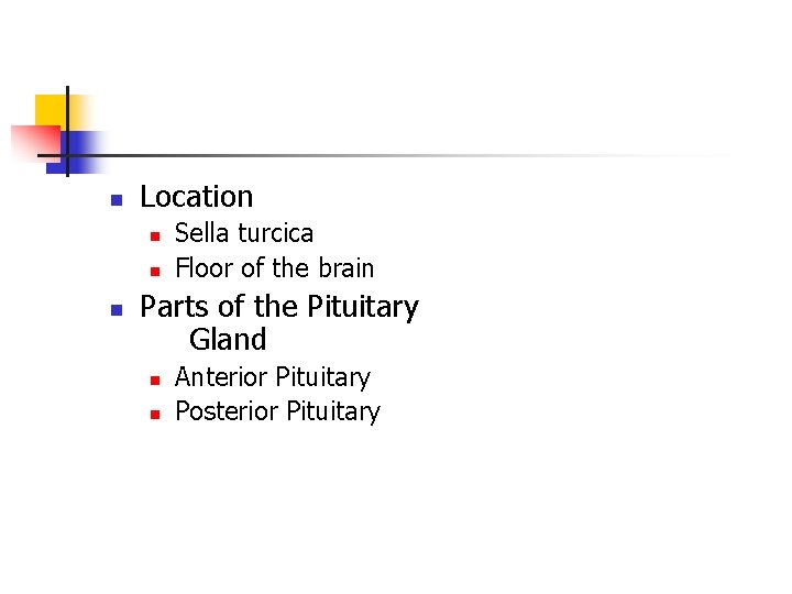 n Location n Sella turcica Floor of the brain Parts of the Pituitary Gland n Location n Sella turcica Floor of the brain Parts of the Pituitary Gland