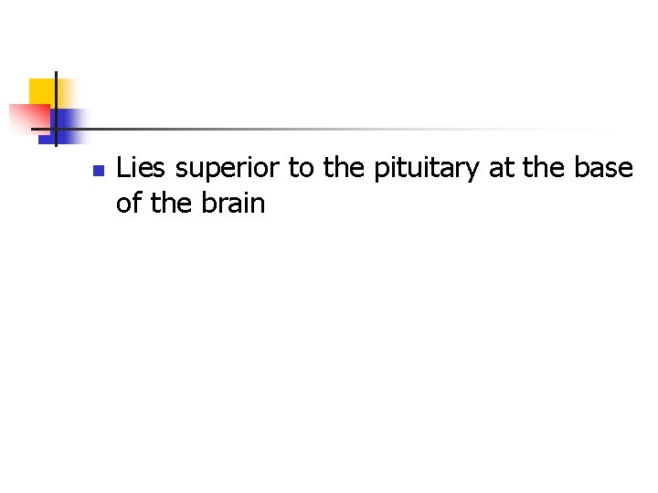 n Lies superior to the pituitary at the base of the brain n Lies superior to the pituitary at the base of the brain