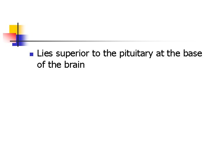 n Lies superior to the pituitary at the base of the brain 