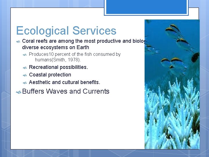 Ecological Services Coral reefs are among the most productive and biologically diverse ecosystems on