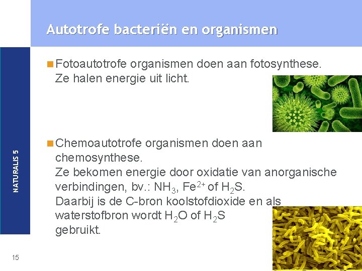 Autotrofe bacteriën en organismen n Fotoautotrofe organismen doen aan fotosynthese. Ze halen energie uit