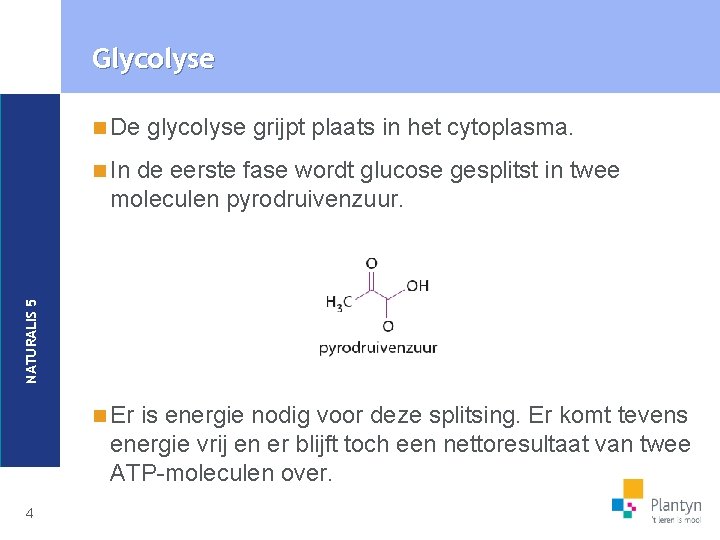 Glycolyse n De glycolyse grijpt plaats in het cytoplasma. de eerste fase wordt glucose