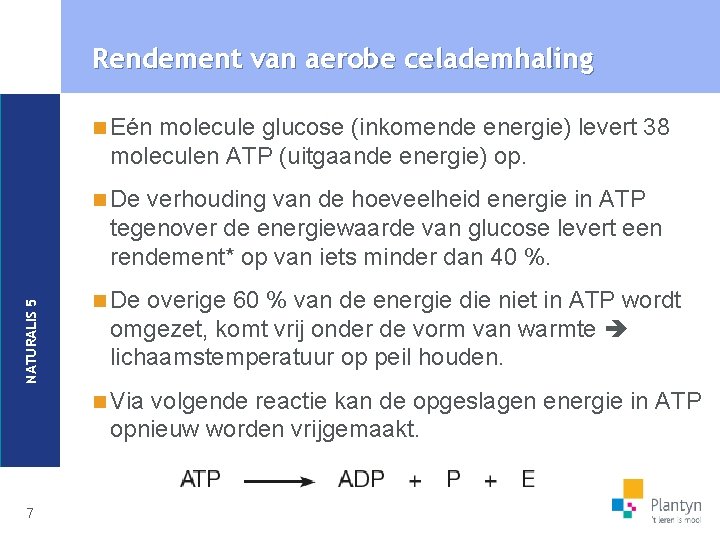 Rendement van aerobe celademhaling n Eén molecule glucose (inkomende energie) levert 38 moleculen ATP