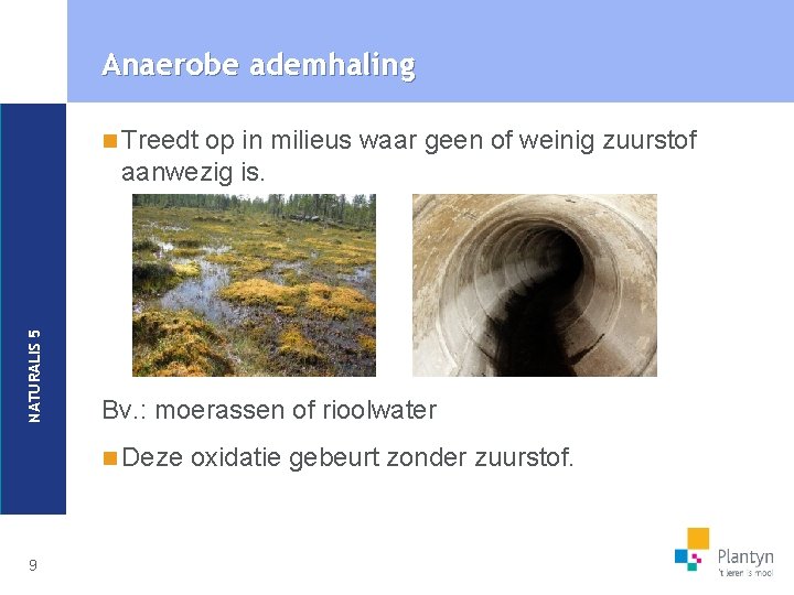 Anaerobe ademhaling op in milieus waar geen of weinig zuurstof aanwezig is. NATURALIS 5