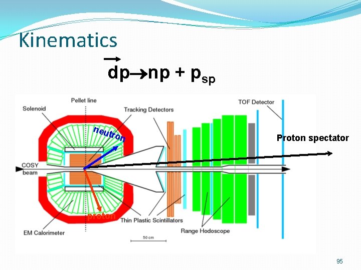 Kinematics dp np + psp neu tron Proton spectator proton 95 
