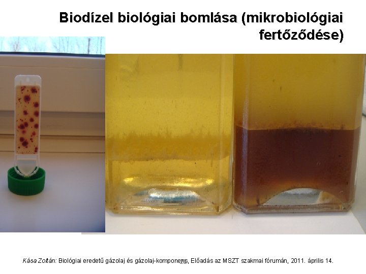 Biodízel biológiai bomlása (mikrobiológiai fertőződése) Kása Zoltán: Biológiai eredetű gázolaj és gázolaj-komponens, 21 Előadás