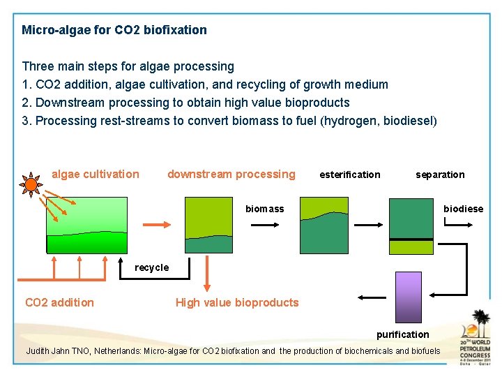 Micro-algae for CO 2 biofixation Three main steps for algae processing 1. CO 2