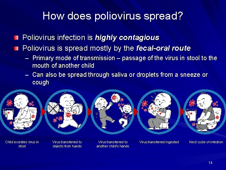 How does poliovirus spread? Poliovirus infection is highly contagious Poliovirus is spread mostly by