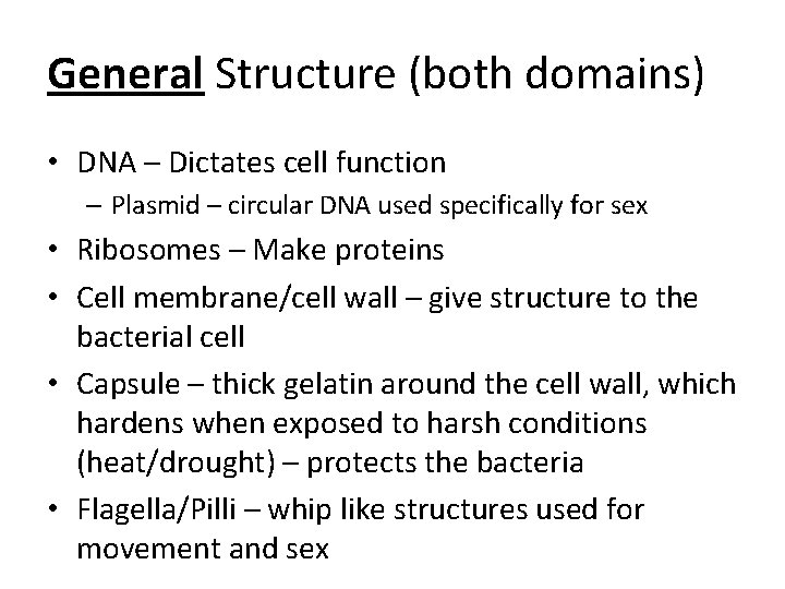 General Structure (both domains) • DNA – Dictates cell function – Plasmid – circular