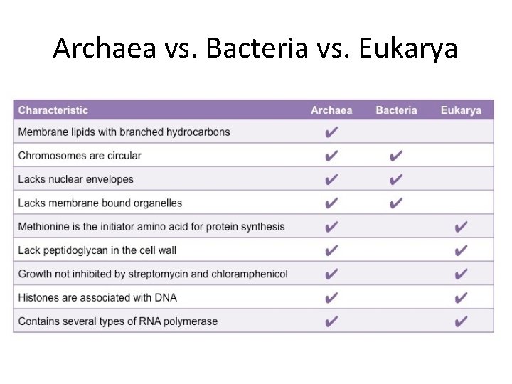 Archaea vs. Bacteria vs. Eukarya 
