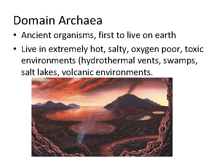 Domain Archaea • Ancient organisms, first to live on earth • Live in extremely